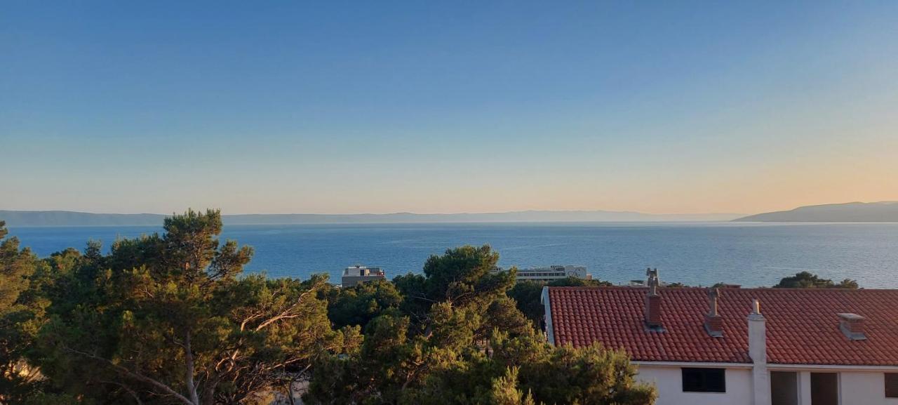 Ivana Apartments Makarska Buitenkant foto